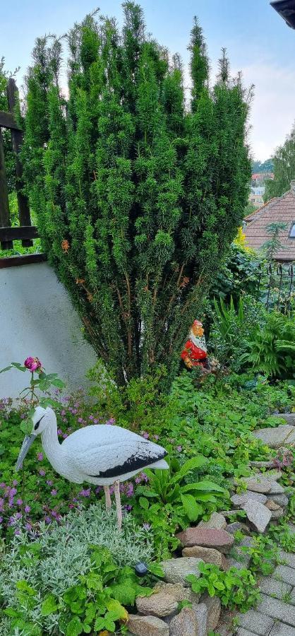 Pokoje Goscinne Душники-Здруй Екстер'єр фото